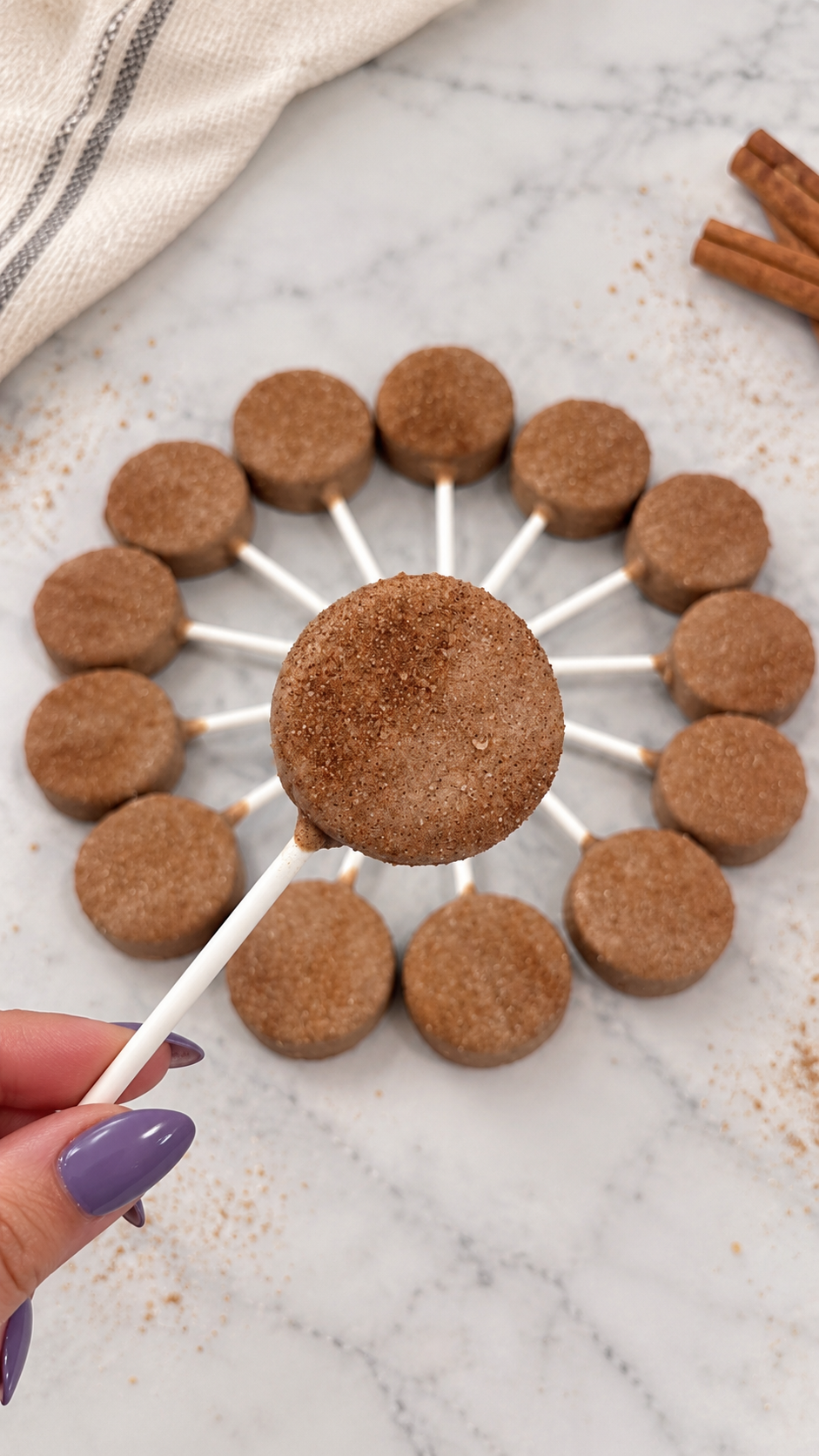 Churro Cake Cake Pops